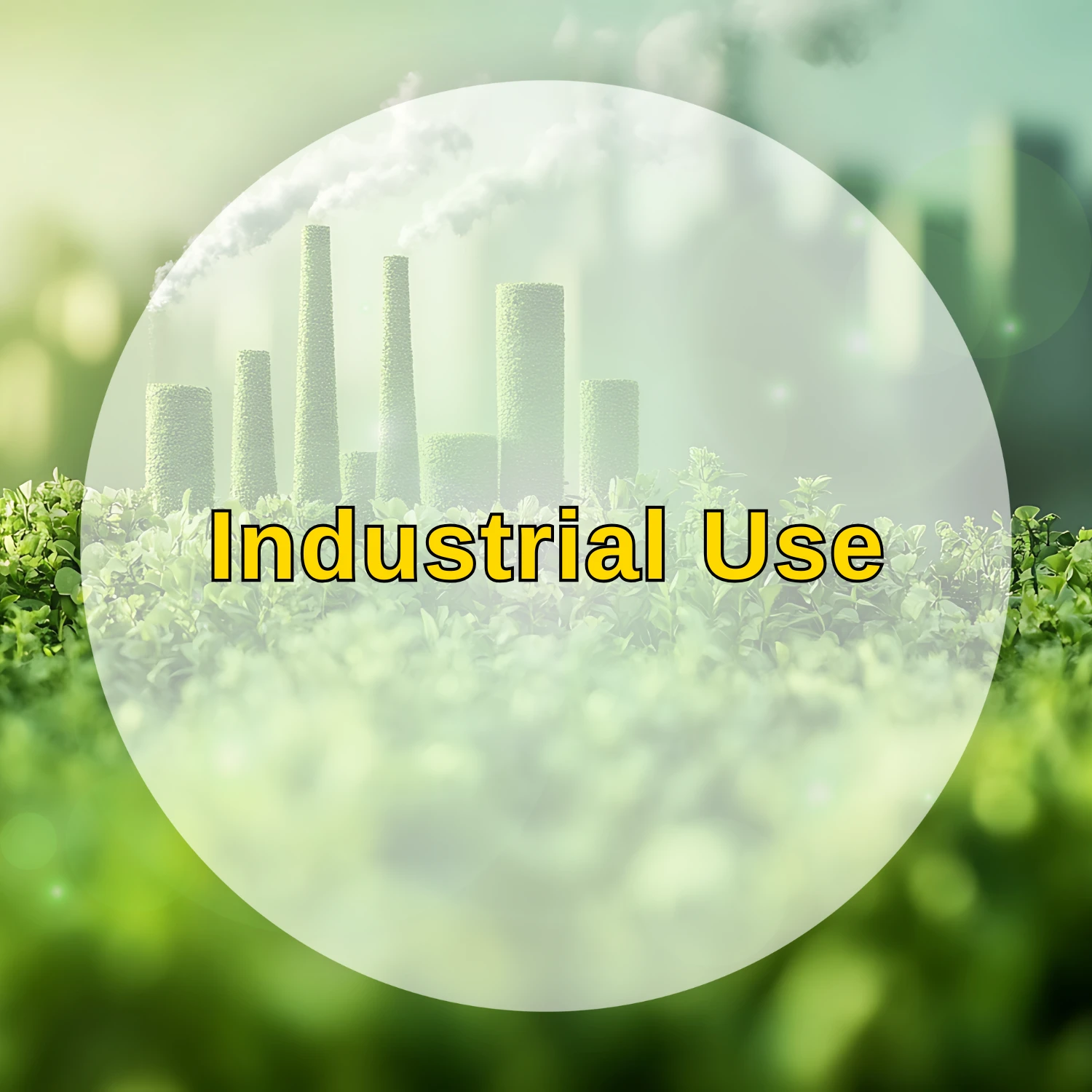 01 industrial use kimminh agrowaste