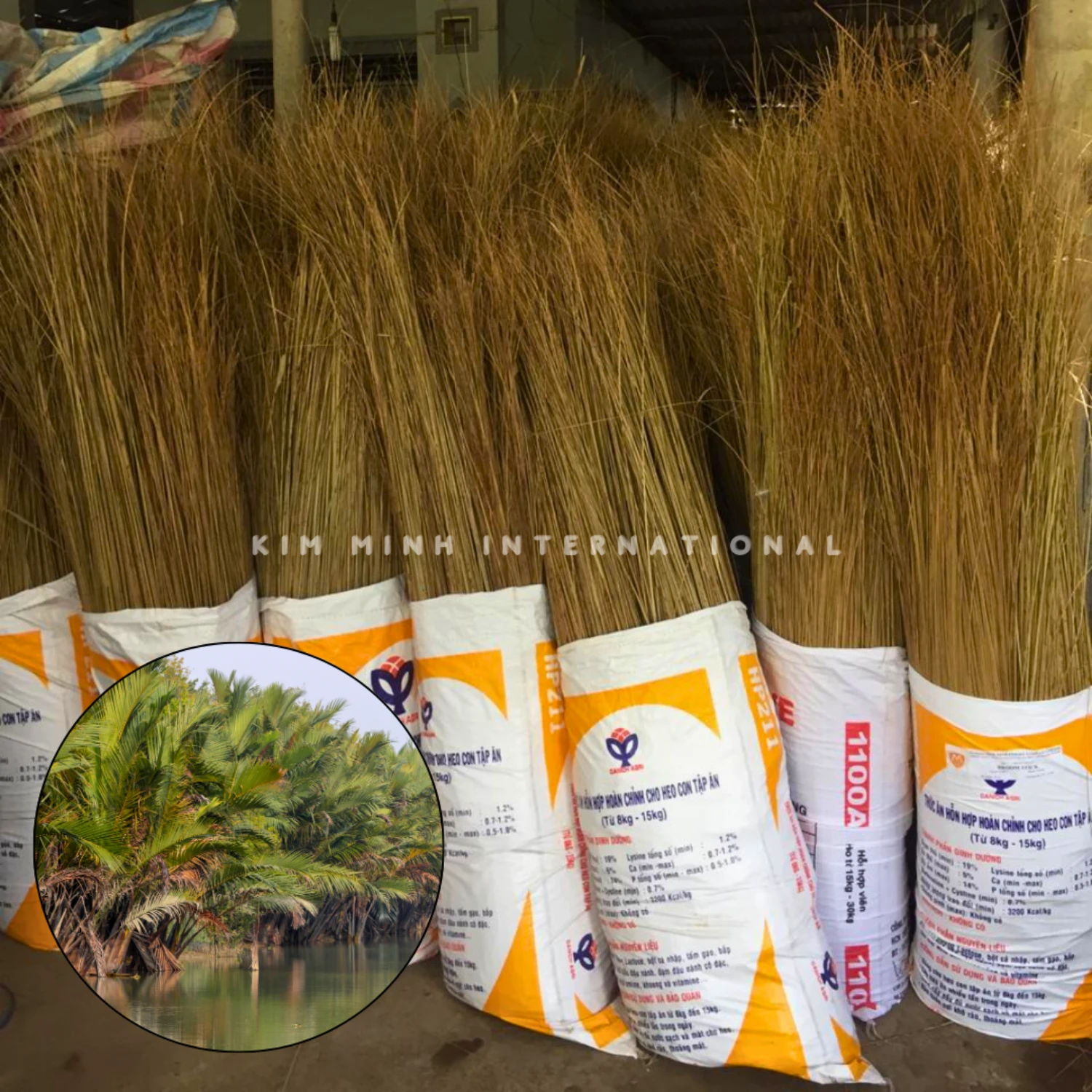 1 broom stick kim minh agrowaste 01