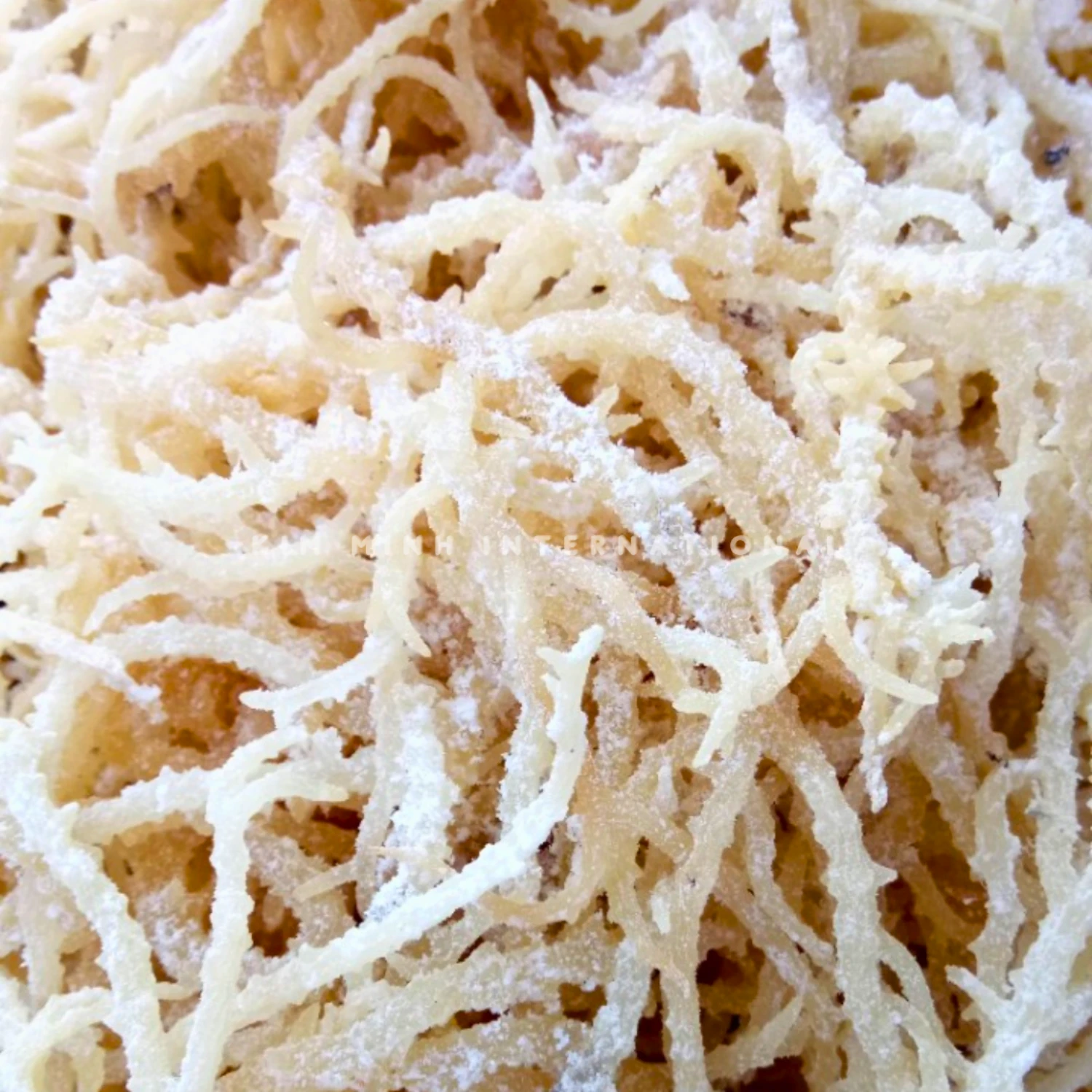 1 eucheuma cottonii kim minh agrowaste 01
