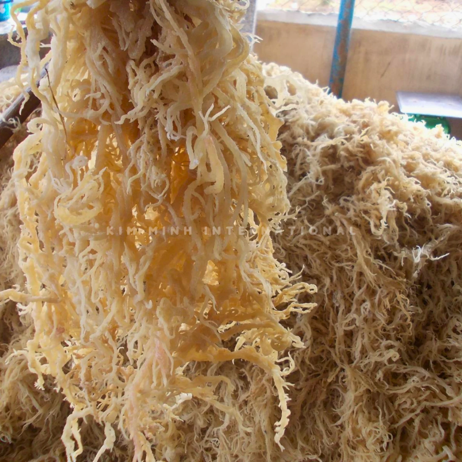 1 eucheuma cottonii kim minh agrowaste 02