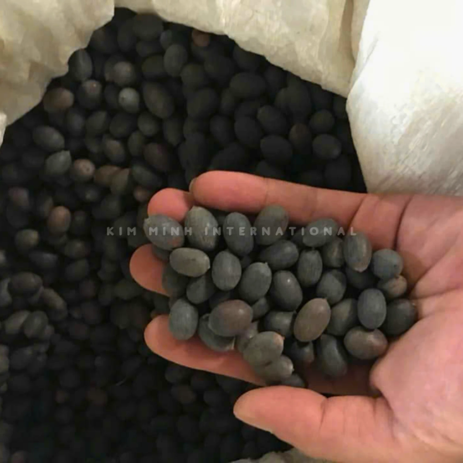10 dried black lotus seed kim minh agrowaste 03