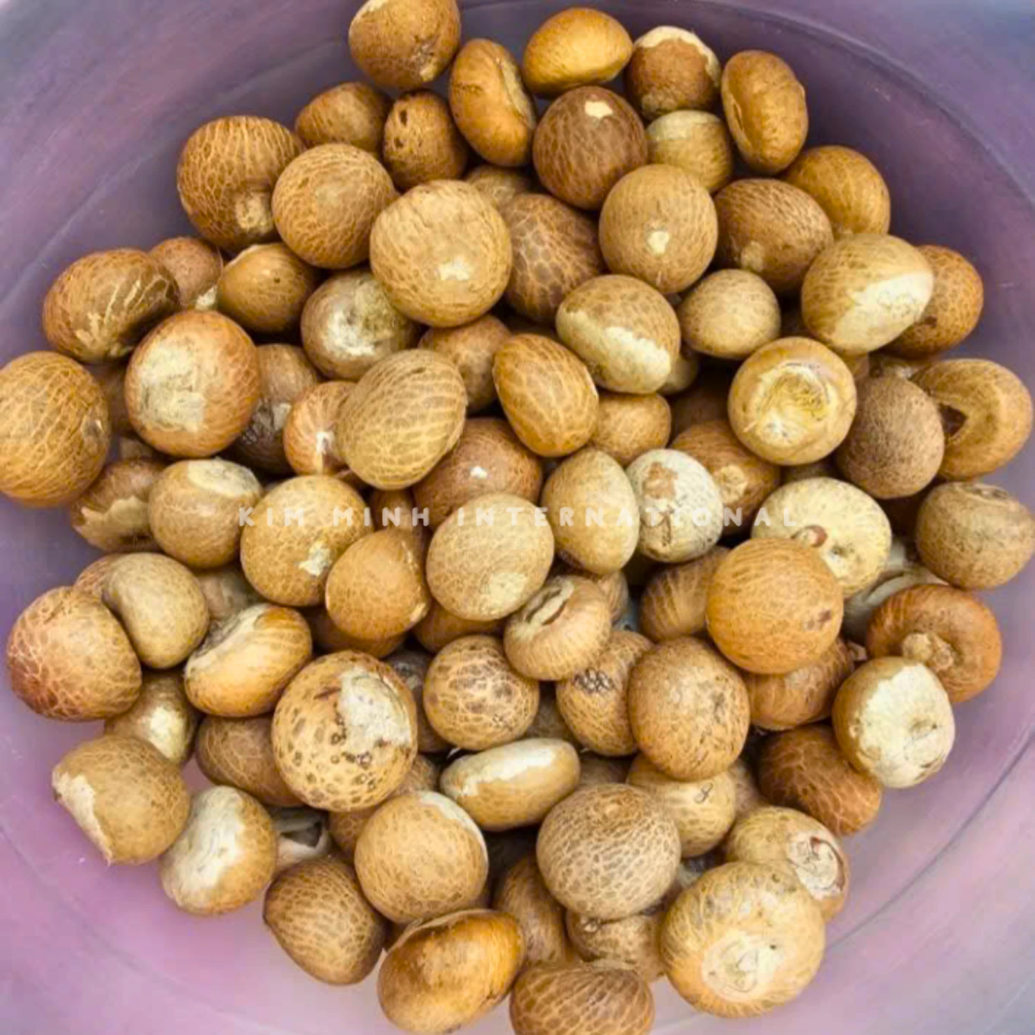 11 areca nut betel nut kim minh agrowaste 01