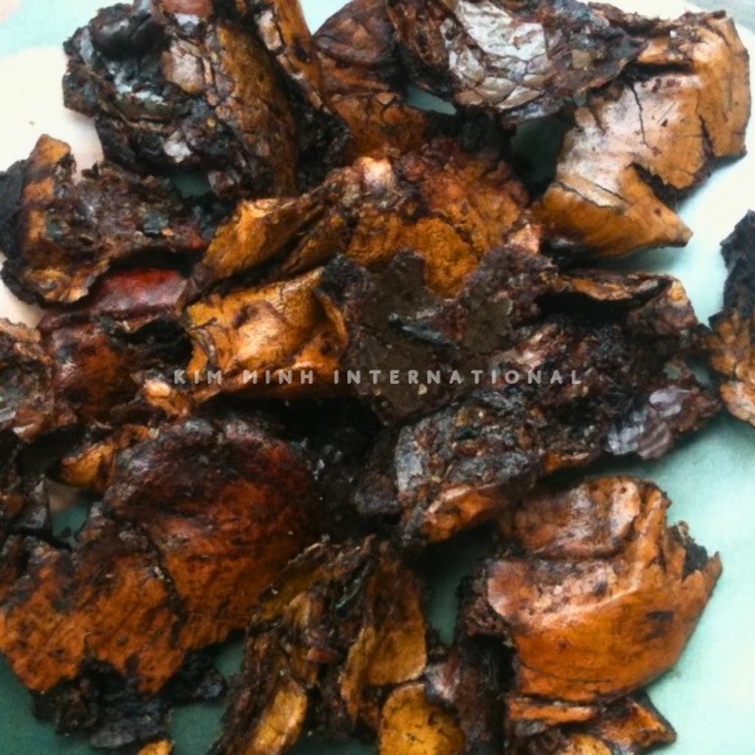 2 cashew nut shell extracted kim minh agrowaste 01