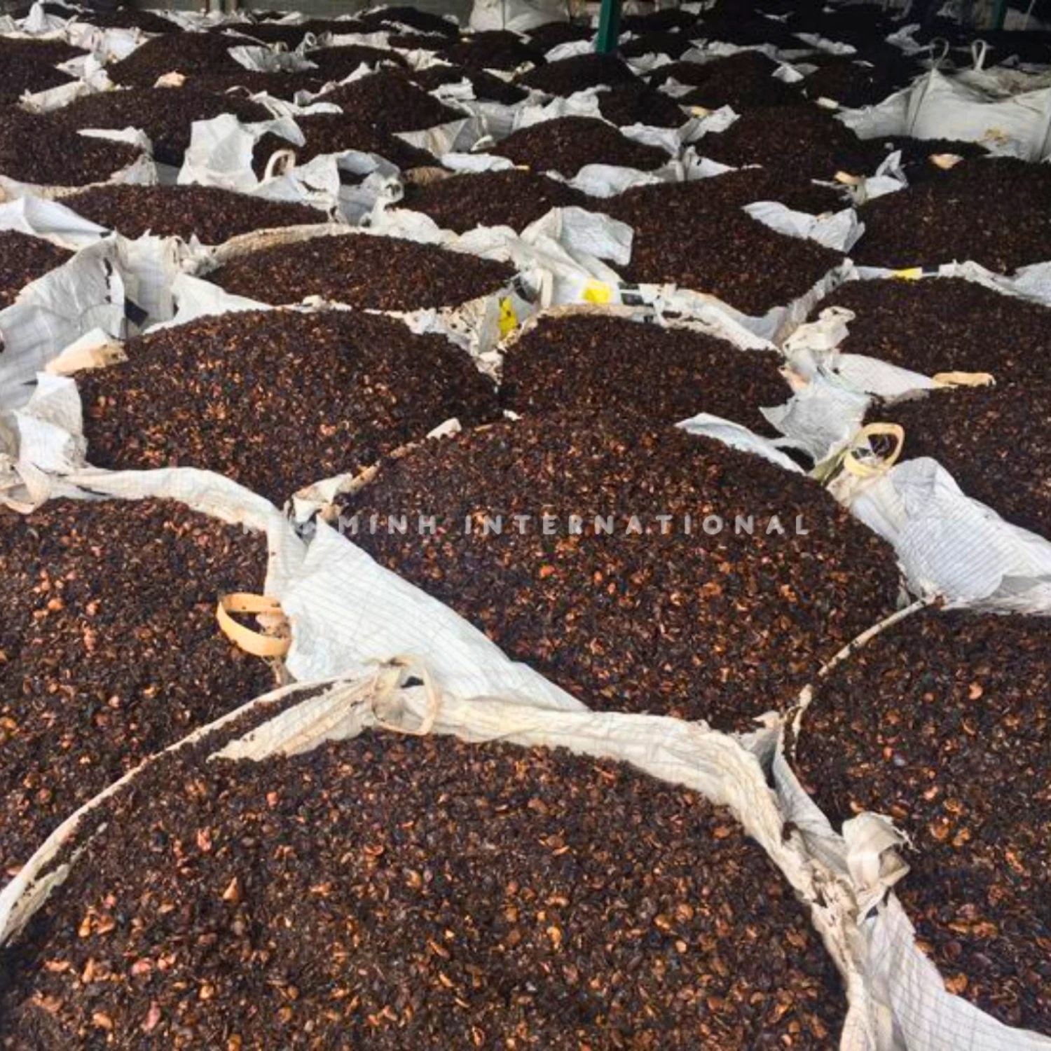 2 cashew nut shell extracted kim minh agrowaste 02