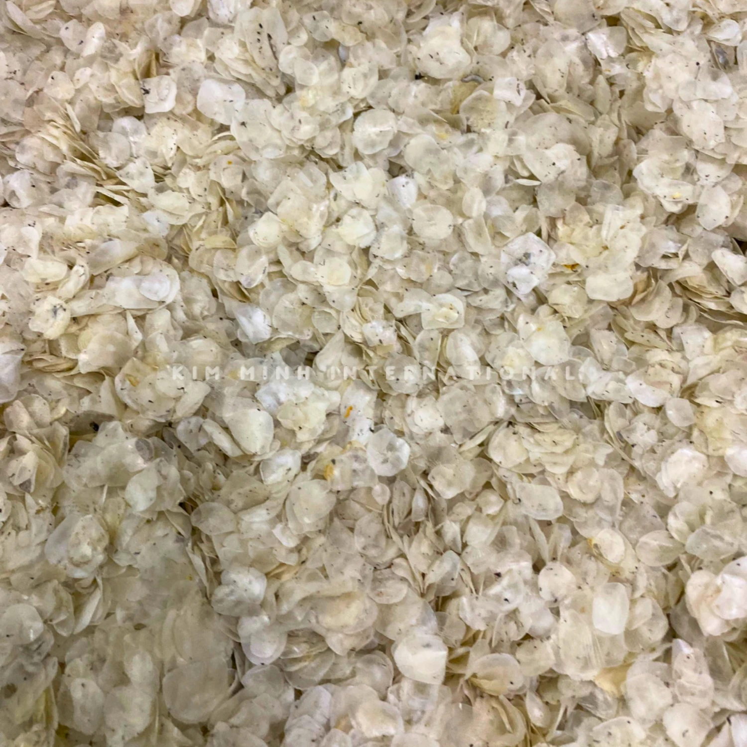 3 dried fish scales collagen kim minh agrowaste 01