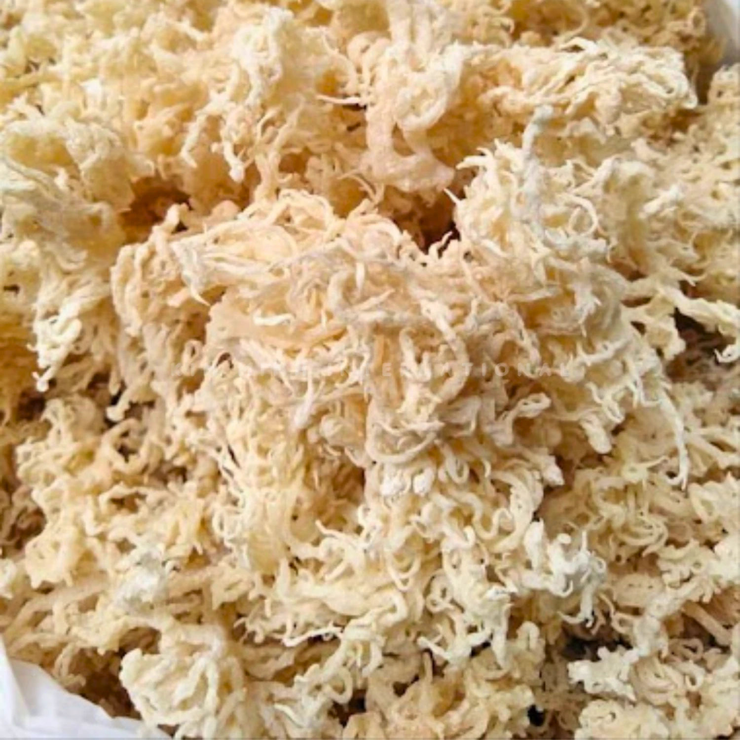 3 white cottonii kim minh agrowaste 02