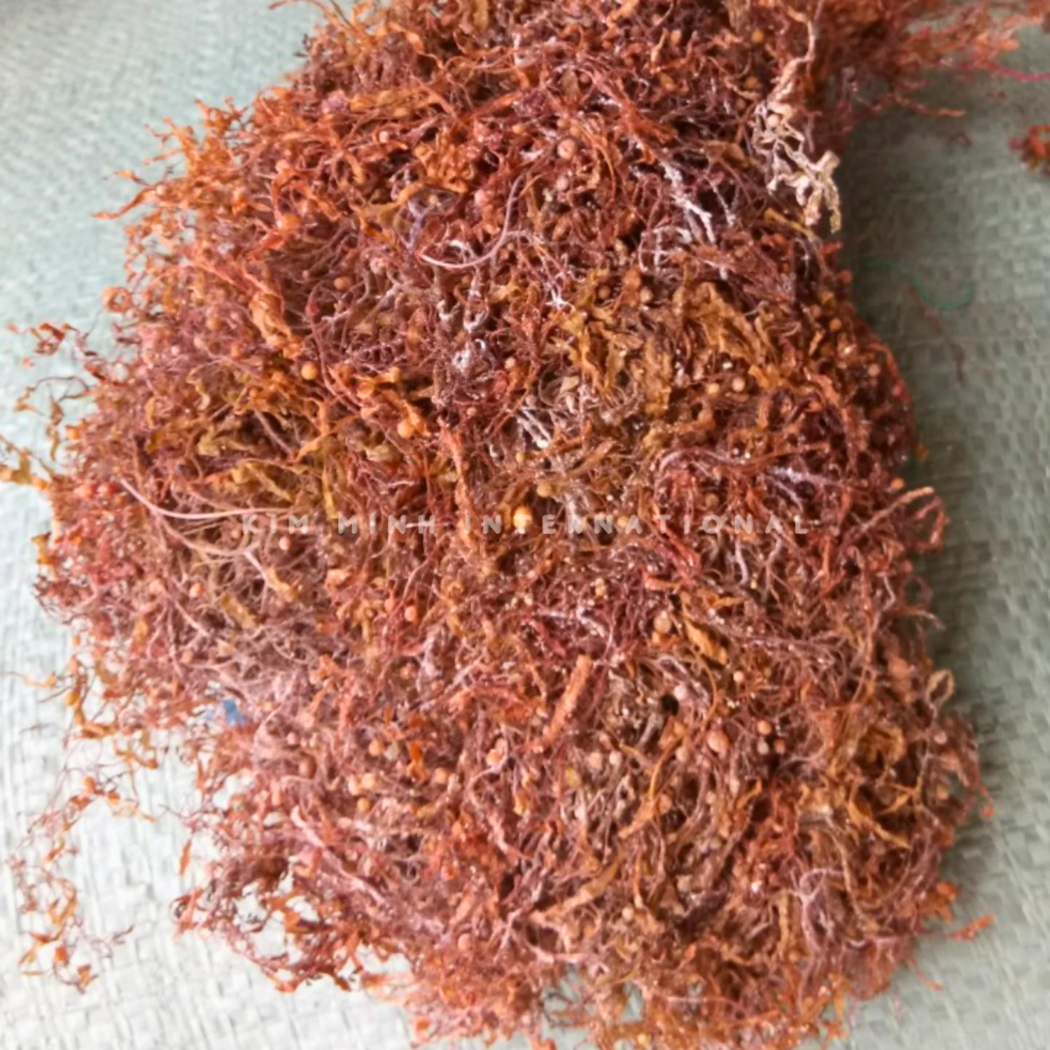 4 sargassum seaweed kim minh agrowaste 01