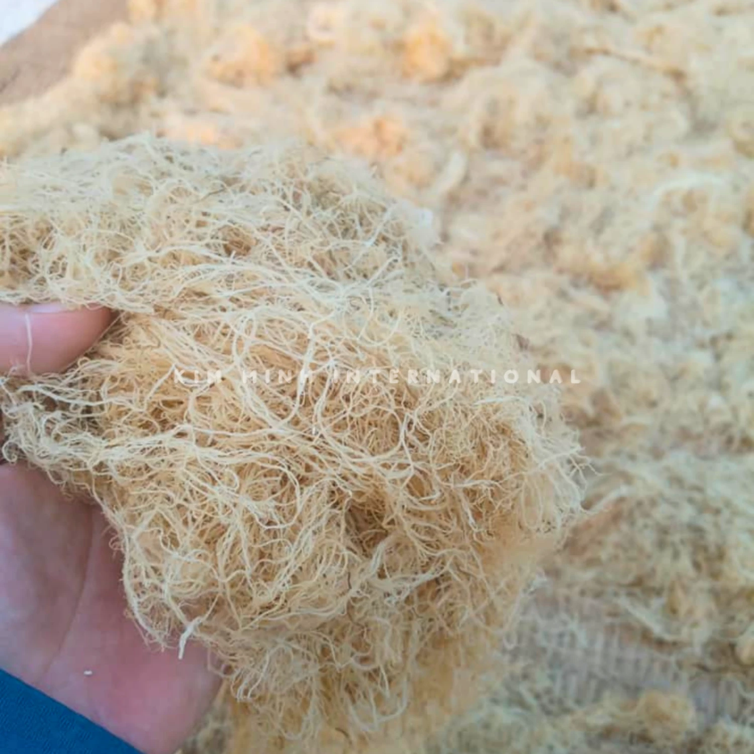 6 gracilaria kim minh agrowaste 01