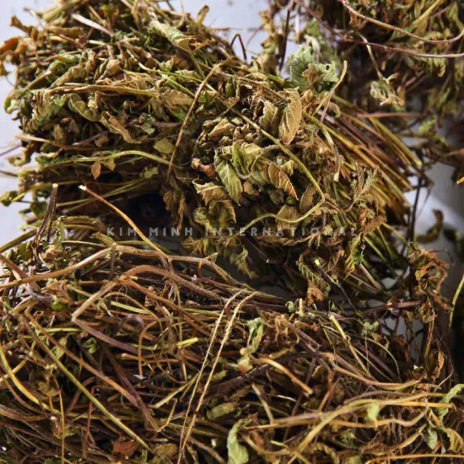 8 dried grass jelly leaves cincau kim minh agrowaste 01