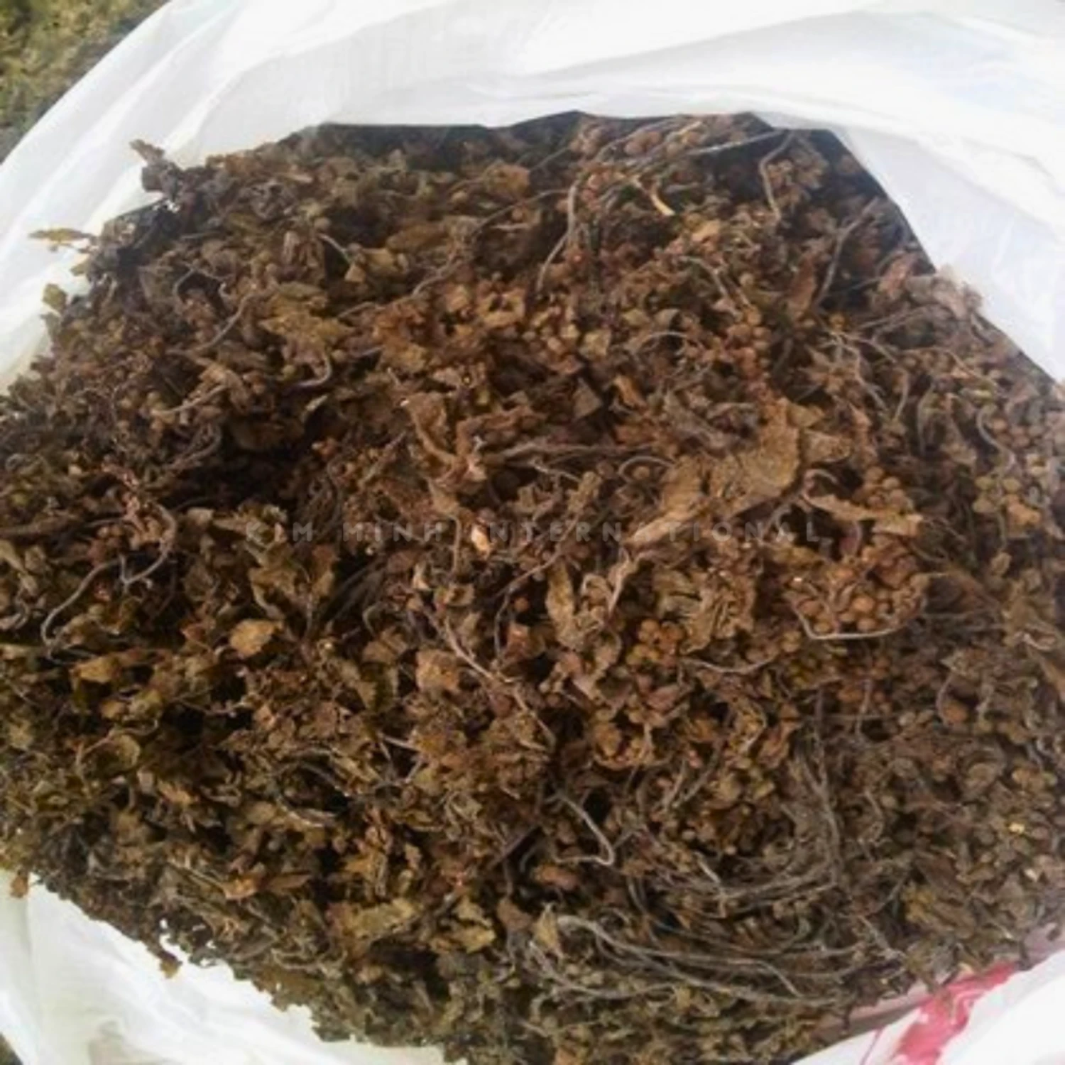 Km 12 sargassum seaweed kim minh agrowaste 03