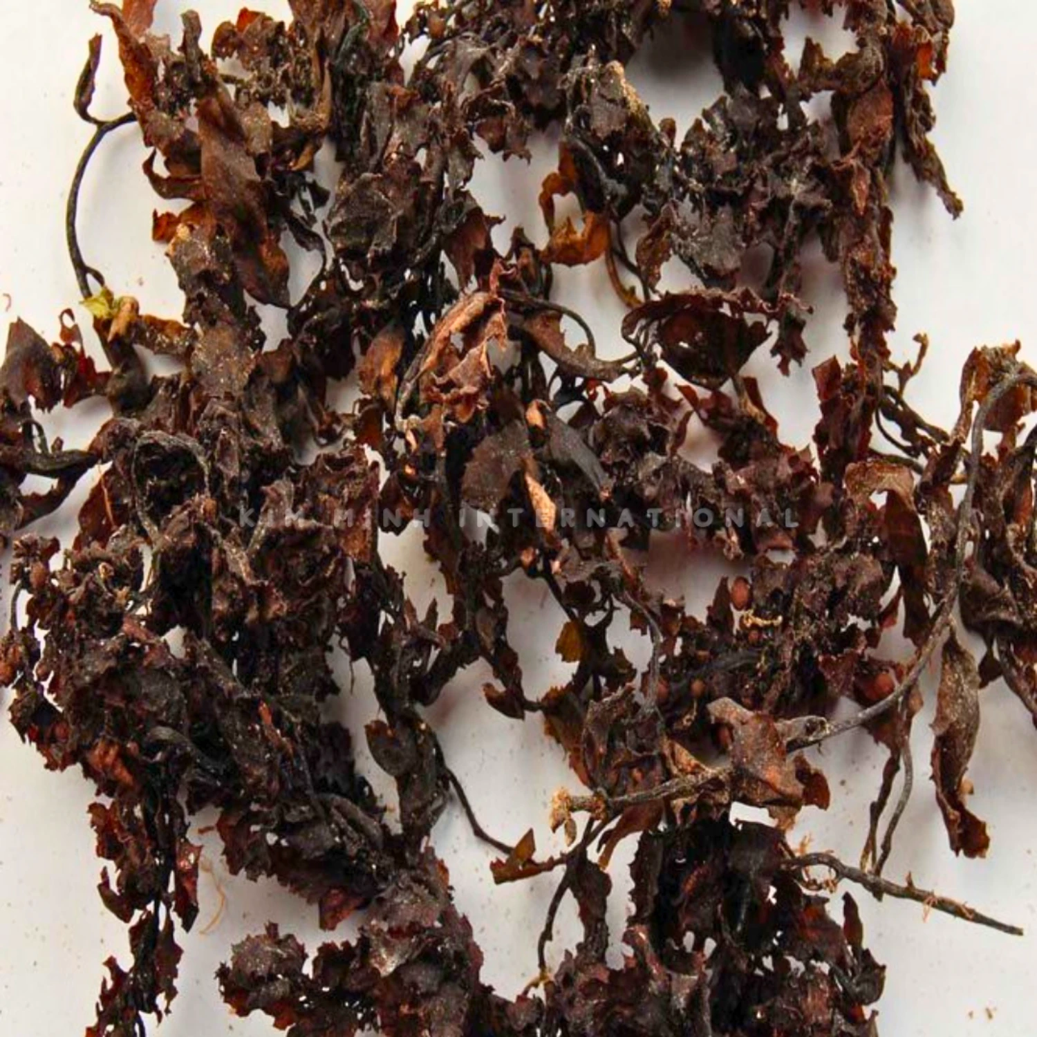 Km 12 sargassum seaweed kim minh agrowaste 04