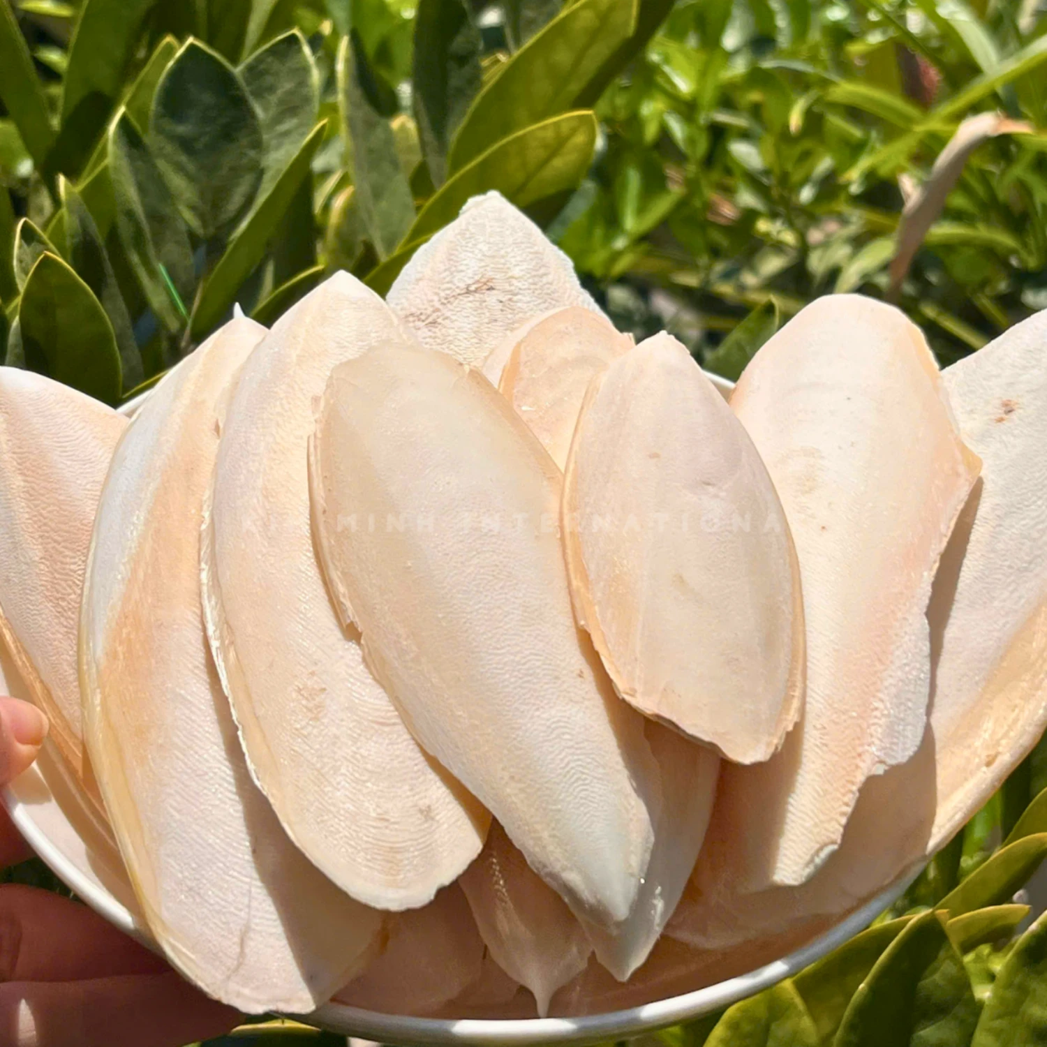 Km 13 dried cuttlefish bone kim minh agrowaste 01