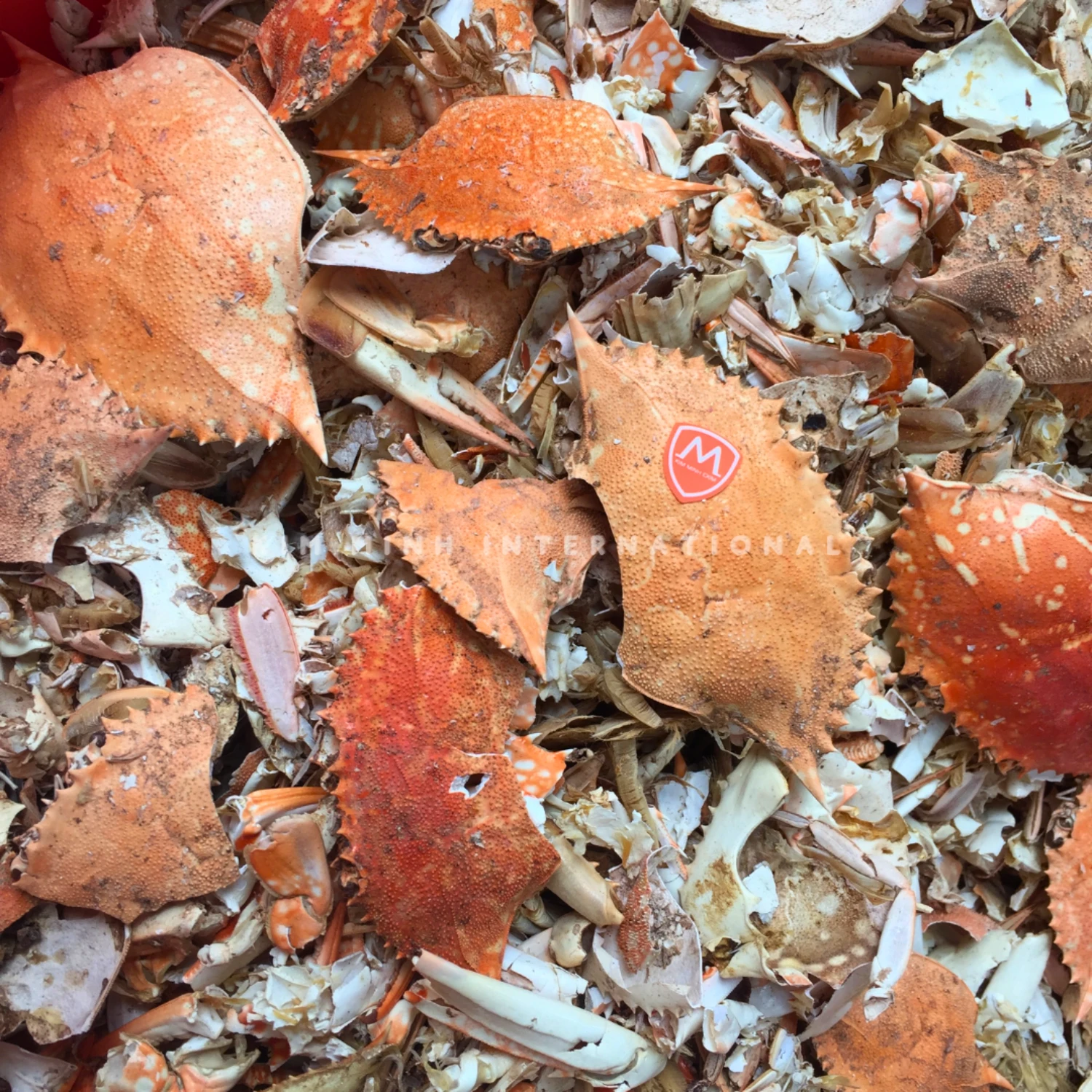 Km 14 shrimp crab shell powder kim minh agrowaste 02