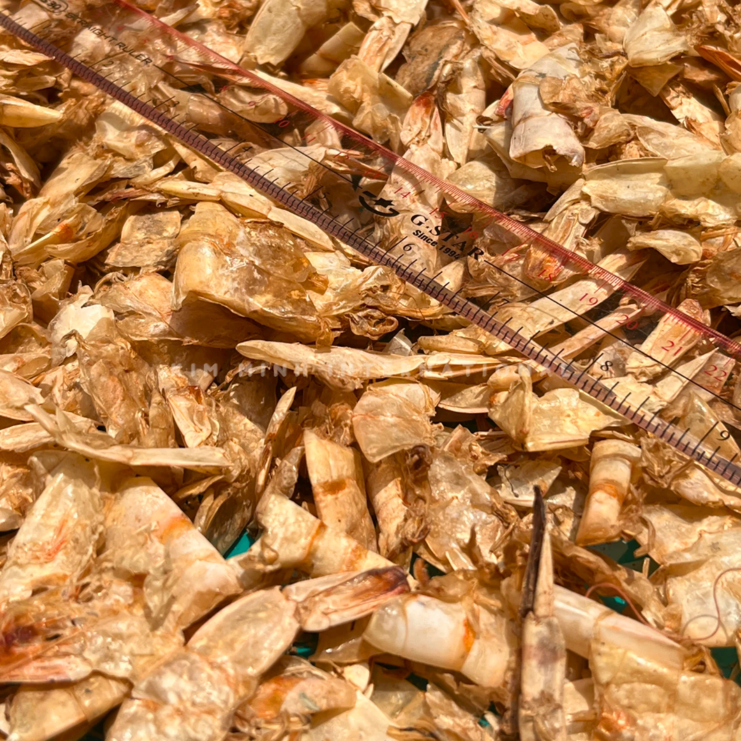 Km 14 shrimp crab shell powder kim minh agrowaste 03