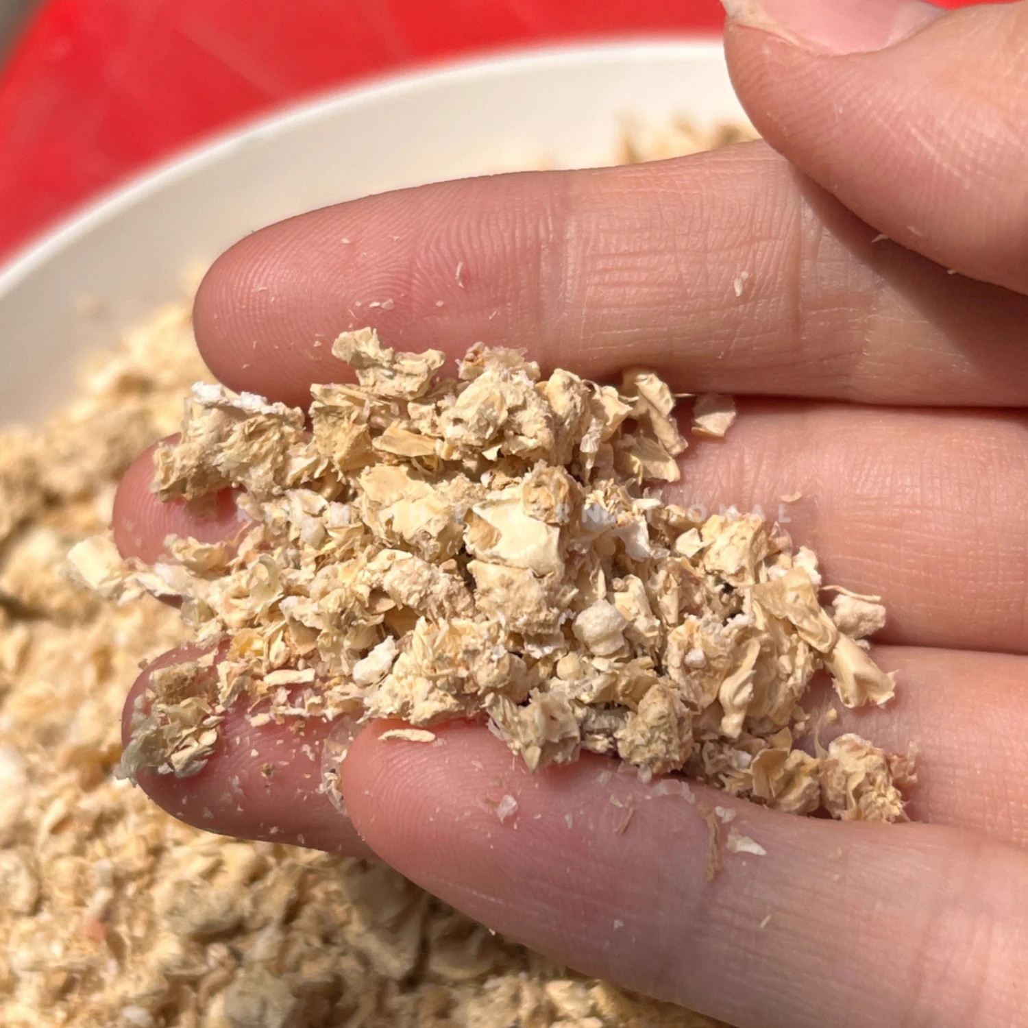 Km 3 corn cob meal kim minh agrowaste 03