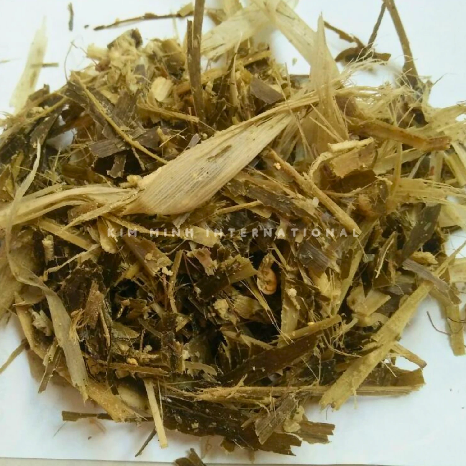 Km 4 corn silage kim minh agrowaste 01